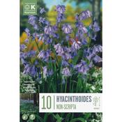 Hyacinthoides Non-Scripta (Bluebells) Bulbs