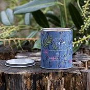 Scented Candle - Irish Botanicals - Rosehip &amp; Bramble Leaf  - Tin image