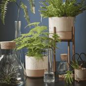 Lago Indoor Pot Off White