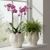 Leslie Indoor Pot Off White image