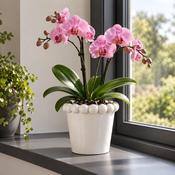 Mary Indoor Pot White