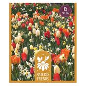 Blooms Bees &amp; Butterflies Sunshine Shades image