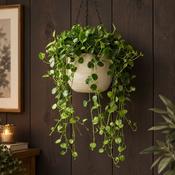 Shabby Hanging Pot Corda - Off White image