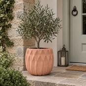 Terracotta Pot Carthage image