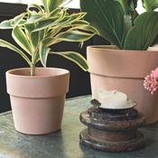 Terracotta Pot Perfetto