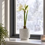 Tindra Indoor Pot White