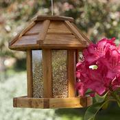 Tom Chambers Chartwell Seed Feeder image