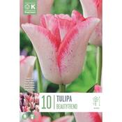 Tulip Beauty Trend Bulbs image
