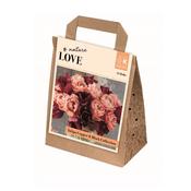 Tulip Copper &amp; Black Collection Bulbs