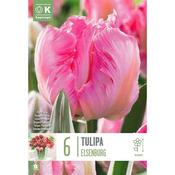 Tulip Elsenburg Bulbs image