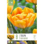 Tulip Foxy Foxtrot Bulbs image