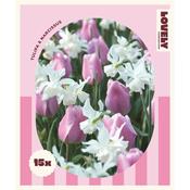Spring Mix Pink Tulip &amp; Narcissus Bulbs image