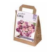 Tulip Purple &amp; Pink Collection Bulbs