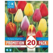 Tulip Triumph Mixed Colours Promo Bulbs