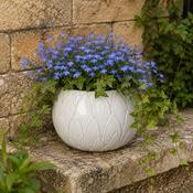 Glazed Bowl Outdoor Planter Victoria - White image