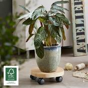 Plant Trolley Indoor Round Birch Wood image