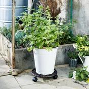 Plant Trolley Indoor/Outdoor Round - Cast Iron Brown image