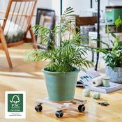 Plant Trolley Indoor Square - Beech Wood 25cm image