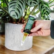 Westland Houseplant Droplet Feeder