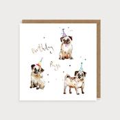 Birthday Pugs Birthday Card image