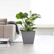 Ecopots Rotterdam Grey