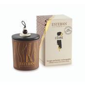 Scented &amp; Refillable Decorative Candle - Cèdre image