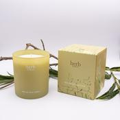 Scented Candle - Buttercup &amp; Bee Balm