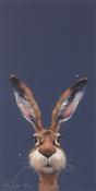 Midnight Hare - The Gift Horse image
