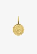 Irish 3d Coin - The Gift Horse image