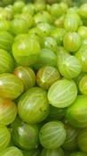 Gooseberry Jam.