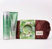 Joico Dreamscapes Scalp Vitality Gift Set