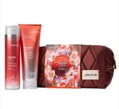 Joico Dreamscapes YouthLock Gift Set