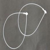 Security Loops