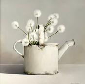 Enamel Watering Can