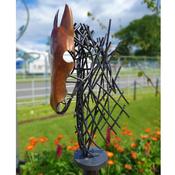 Equus image