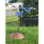 Hummingbird in Blue image