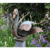 Swan image