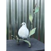 Dove