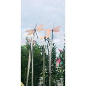 Dragonflies