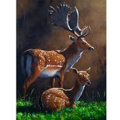 Sun Seeker’s ***SOLD*** image