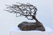Sure &amp;amp; Steadfast ***SOLD***
