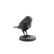 Robin image