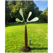 Blue Sycamore image