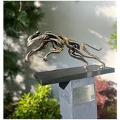 The Jaguar image
