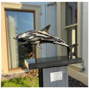The Shark image