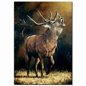 Monarch of the Glen