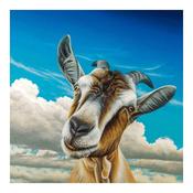 Dave