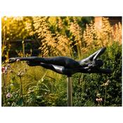 Floating Lady
