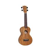 Korala Performer Series concert ukulele