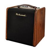 Richwood acoustic guitar amplifier - RPF-65